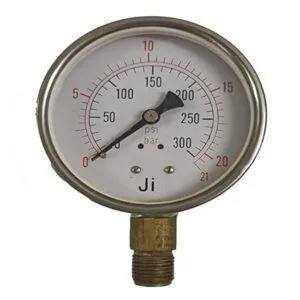 Economical Pressure Gauge, Dial Size 4" (100 mm), Stainless Steel 304 Case Crimping Type & Brass/SS Internals, Range 0 to 21 Bar with Dual Scale of 300 PSI, Direct Mounting Bottom Entry, Connection 1/2" BSP (M), Accuracy 1.6% FSD