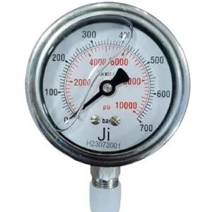 Economical Pressure Gauge, Dial Size 2 1/2" (63 mm), Stainless Steel 304 Case Crimping Type, Range 0 to 700 bar with Dual Scale of 10000 PSI, Direct Mounting Bottom Entry, Connection 1/4" NPT (M), Accuracy 1% FSD