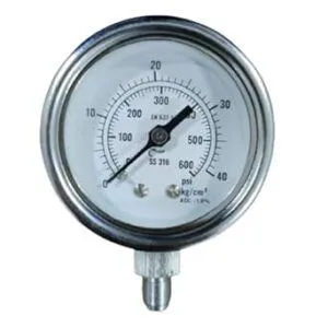 Japsin Instrumentation industrial pressure gauge 0 to 42 Kg cm2 600 PSI 50 mm dial 1/8 BSP bottom entry SS304 case SS316L internals