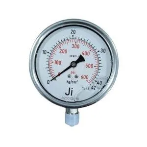Economical Pressure Gauge Glycerin Filled, Dial Size 4" (100 mm), Stainless Steel 304 Case Crimping Type & SS Internals, Range 0 to 42 Kg/Cm2 with Dual Scale of 600 PSI, Direct Mounting Bottom Entry, Connection 3/8" BSP (M), Accuracy 1.6% FSD