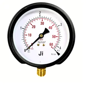 Japsin Instrumentation commercial pressure gauge 0 to 4.2 Kg cm2 60 PSI 100 mm dial surface mounting bottom entry 3/8 BSP MS case brass internals