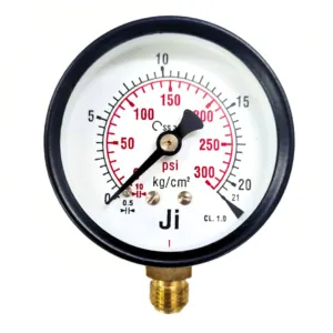 Japsin Instrumentation commercial pressure gauge 0 to 21 Kg cm2 300 PSI 63 mm dial bottom entry 1/4 BSP MS case brass internals