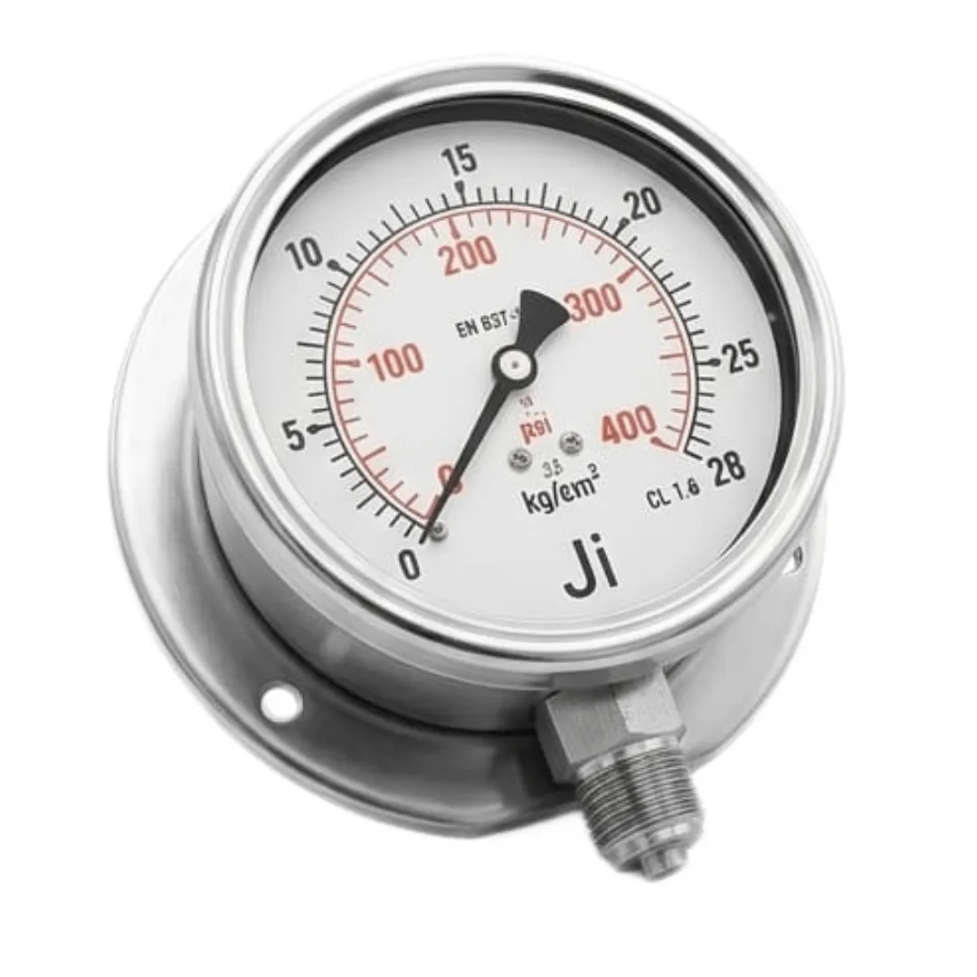 Surface mounting pressure gauge with 3/8 inch BSP connection