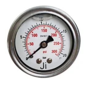 Japsin Instrumentation economical glycerin filled pressure gauge 0 to 21 Bar 300 PSI 50 mm dial back entry 1/4 BSP SS case SS wetted parts