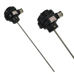 Japsin Instrumentation Pt-100 3 wire simplex RTD sensor with head assembly 3/4 inch cable gland 300 mm x 6 mm stainless steel probe range -50 to 400 degree Celsius