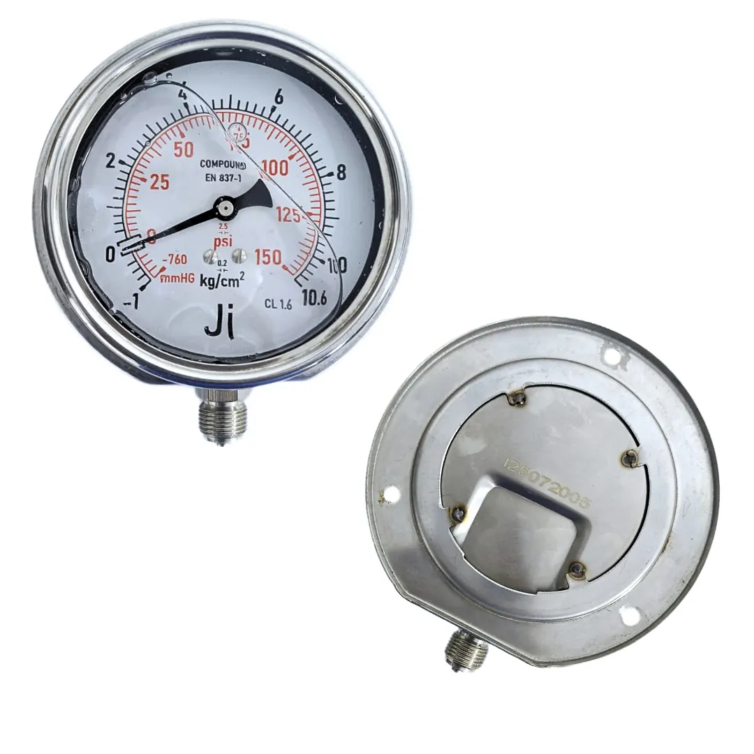 Economical Compound Gauge - JI-EPG-1080 | Japsin Instrumentation
