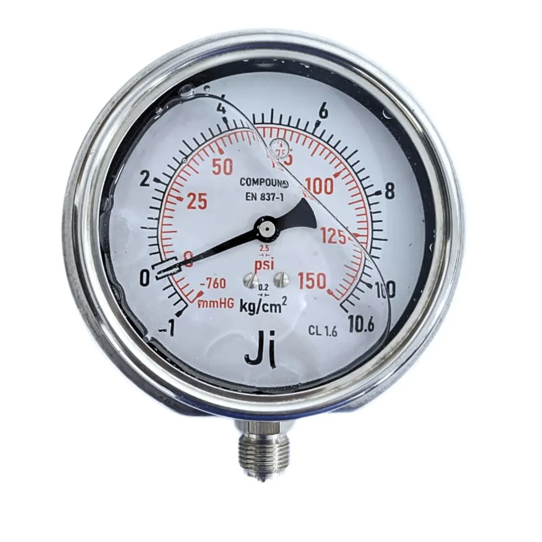 Economical Compound Gauge - JI-EPG-1080 | Japsin Instrumentation