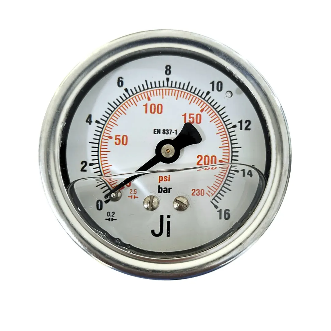 Economical Pressure Gauge - JI-EPG-1081 | Japsin Instrumentation