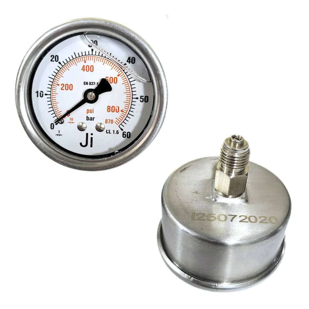 Economical Pressure Gauge - JI-EPG-1082 | Japsin Instrumentation