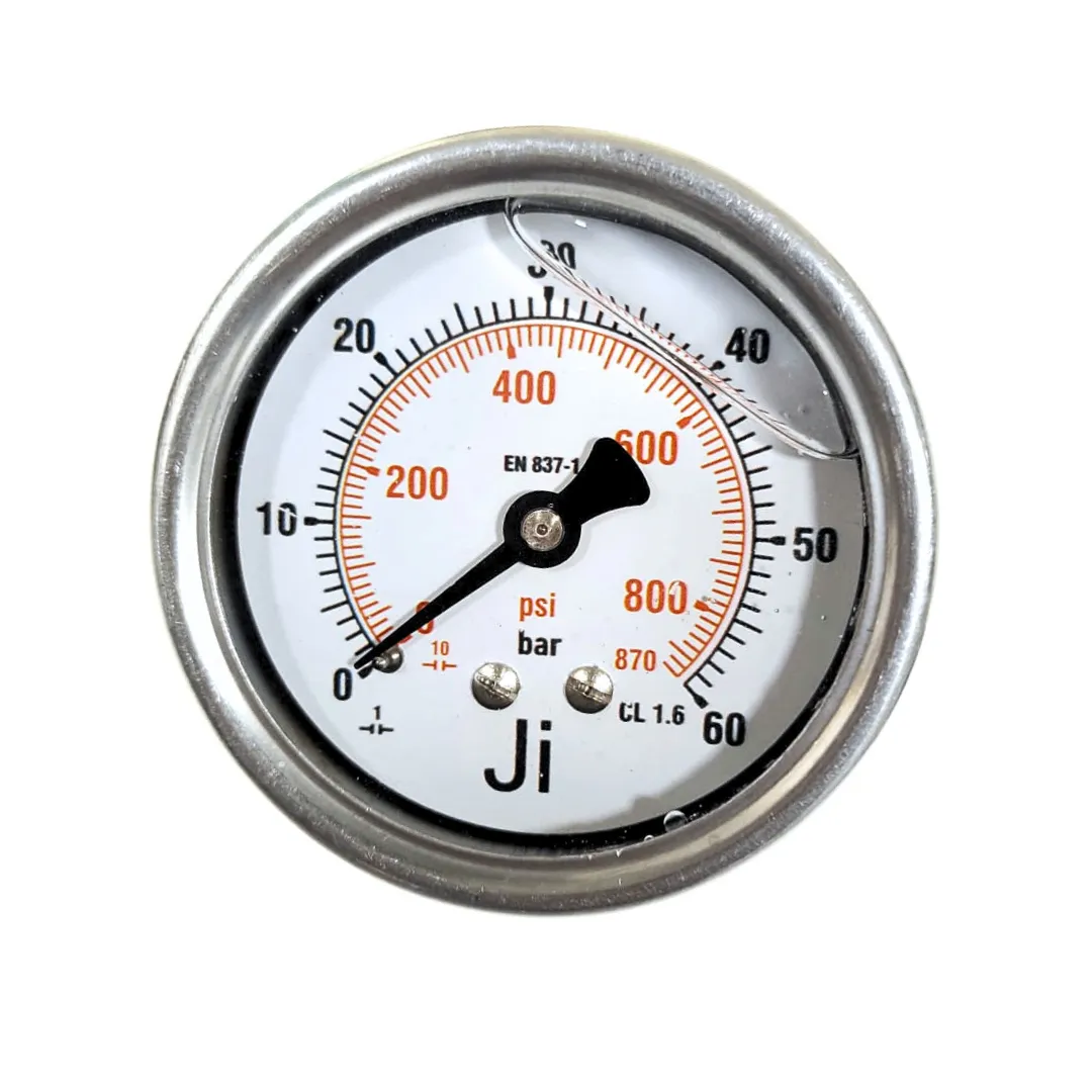 Economical Pressure Gauge - JI-EPG-1082 | Japsin Instrumentation