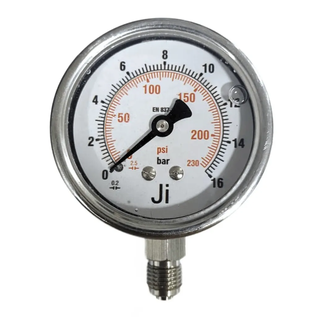 Economical Pressure Gauge Glycerin Filled | Japsin Instrumentation