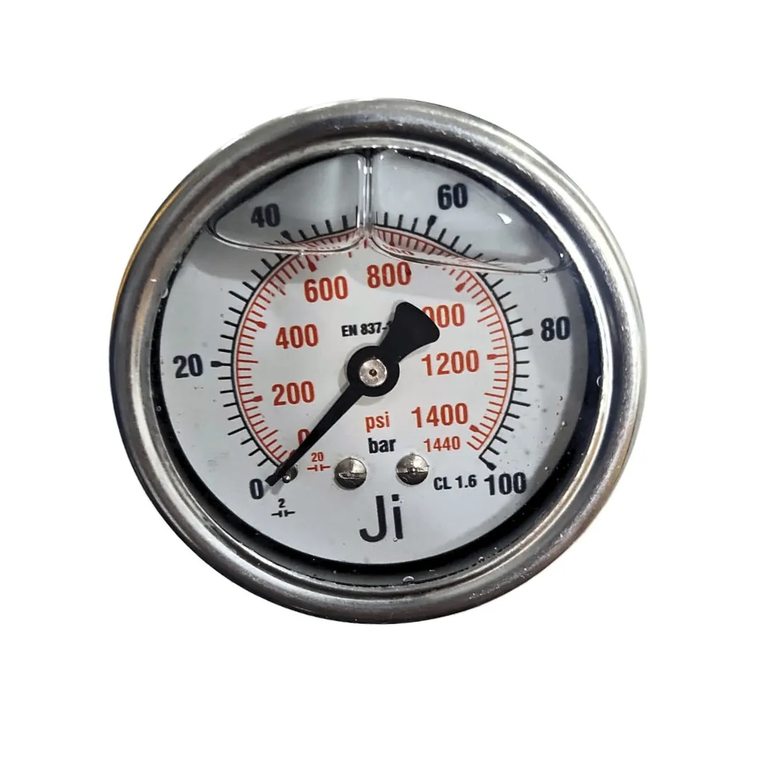 Economical Pressure Gauge - JI-EPG-1086 | Japsin Instrumentation