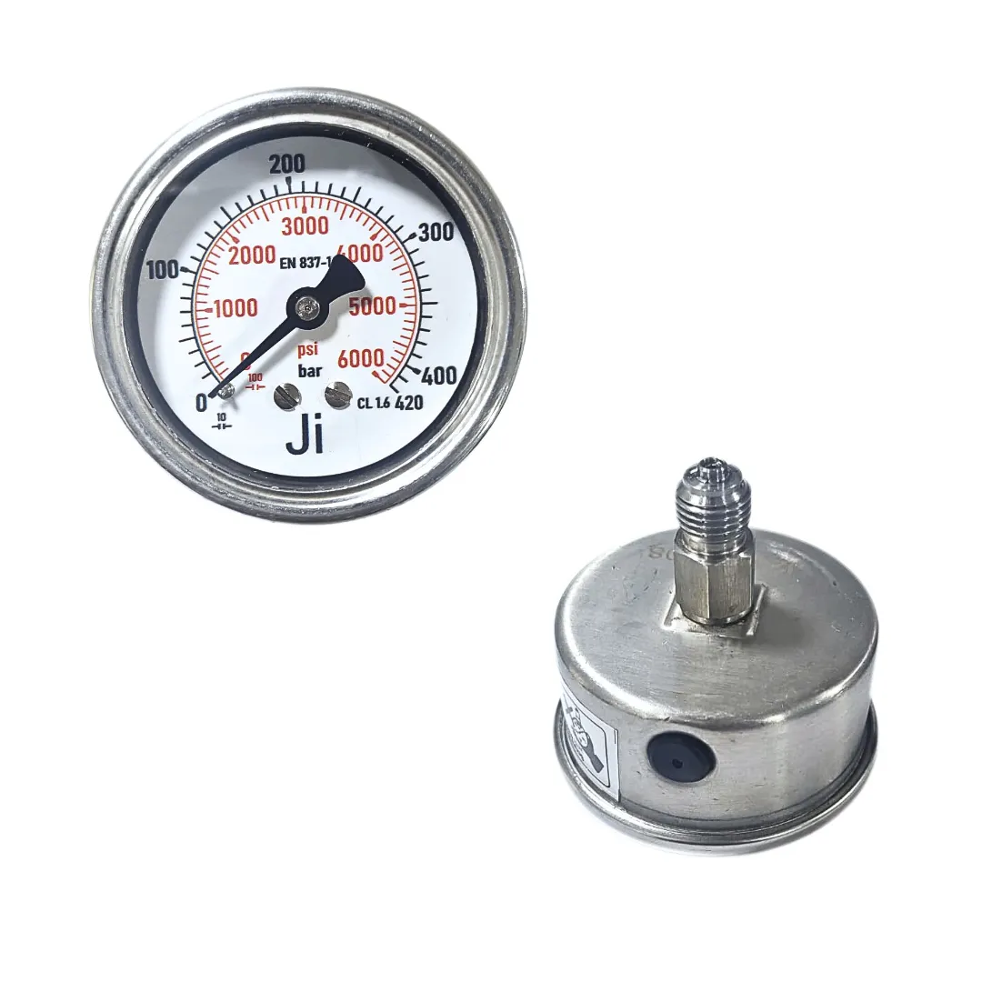 Economical Pressure Gauge - JI-EPG-1089 | Japsin Instrumentation