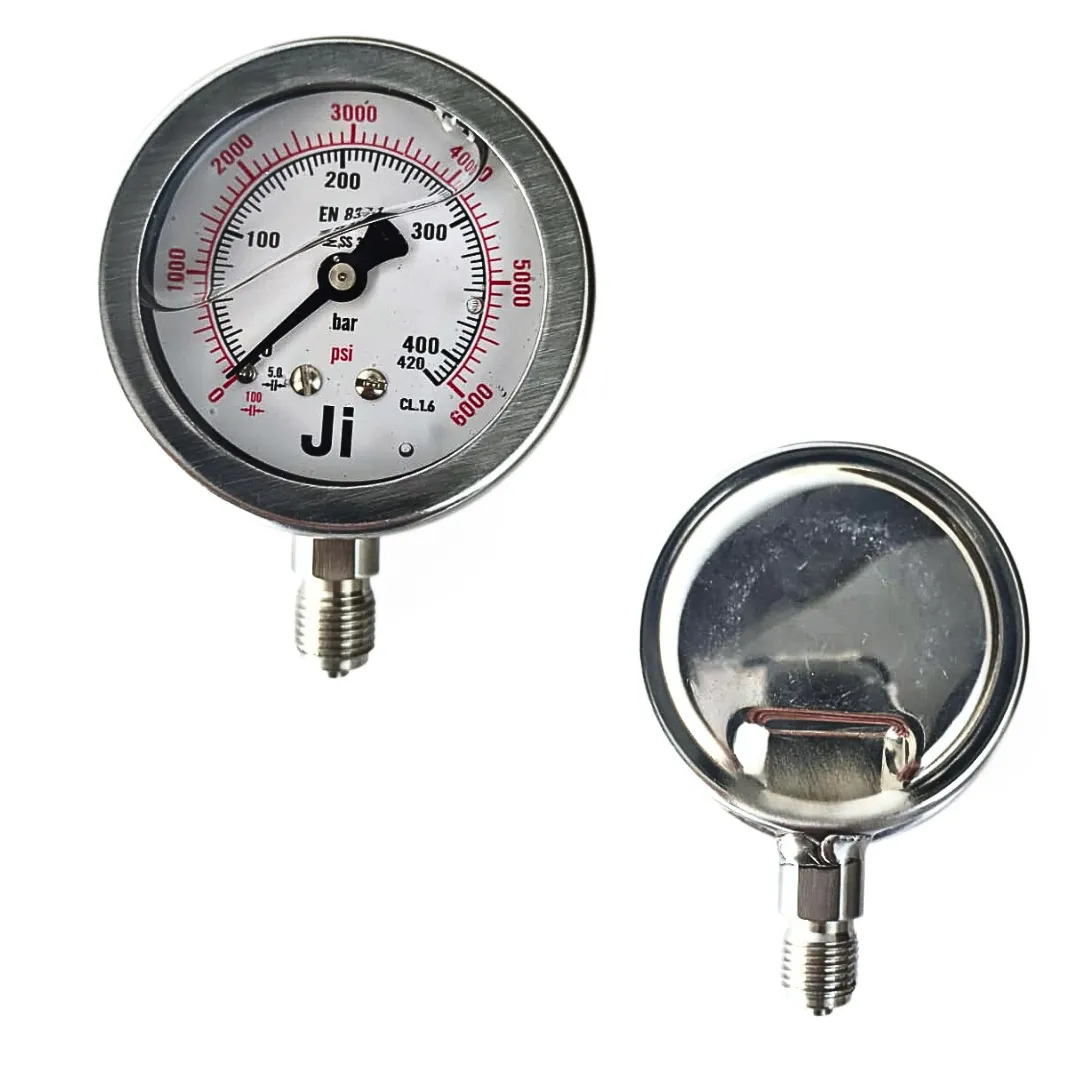 Economical Pressure Gauge - JI-EPG-1096 | Japsin Instrumentation