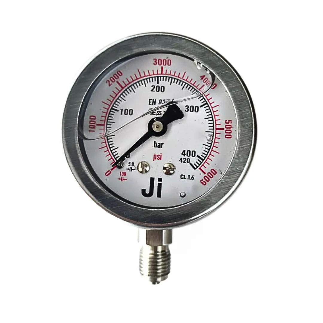 Economical Pressure Gauge - JI-EPG-1096 | Japsin Instrumentation