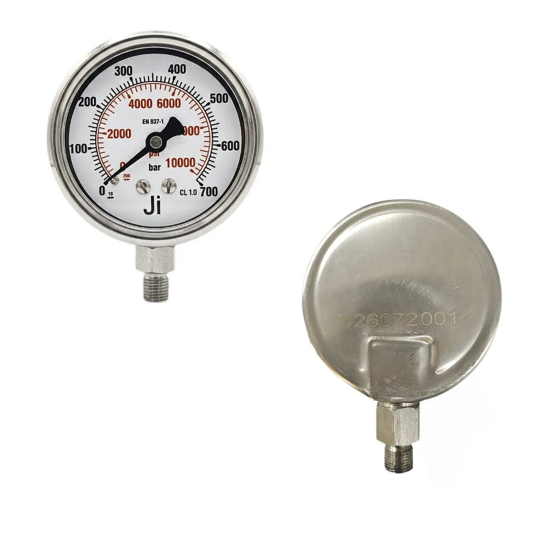 Japsin Instrumentation industrial pressure gauge 0-700 bar 10000 PSI with 2.5 inch dial bottom entry and stainless steel case for high pressure measurement