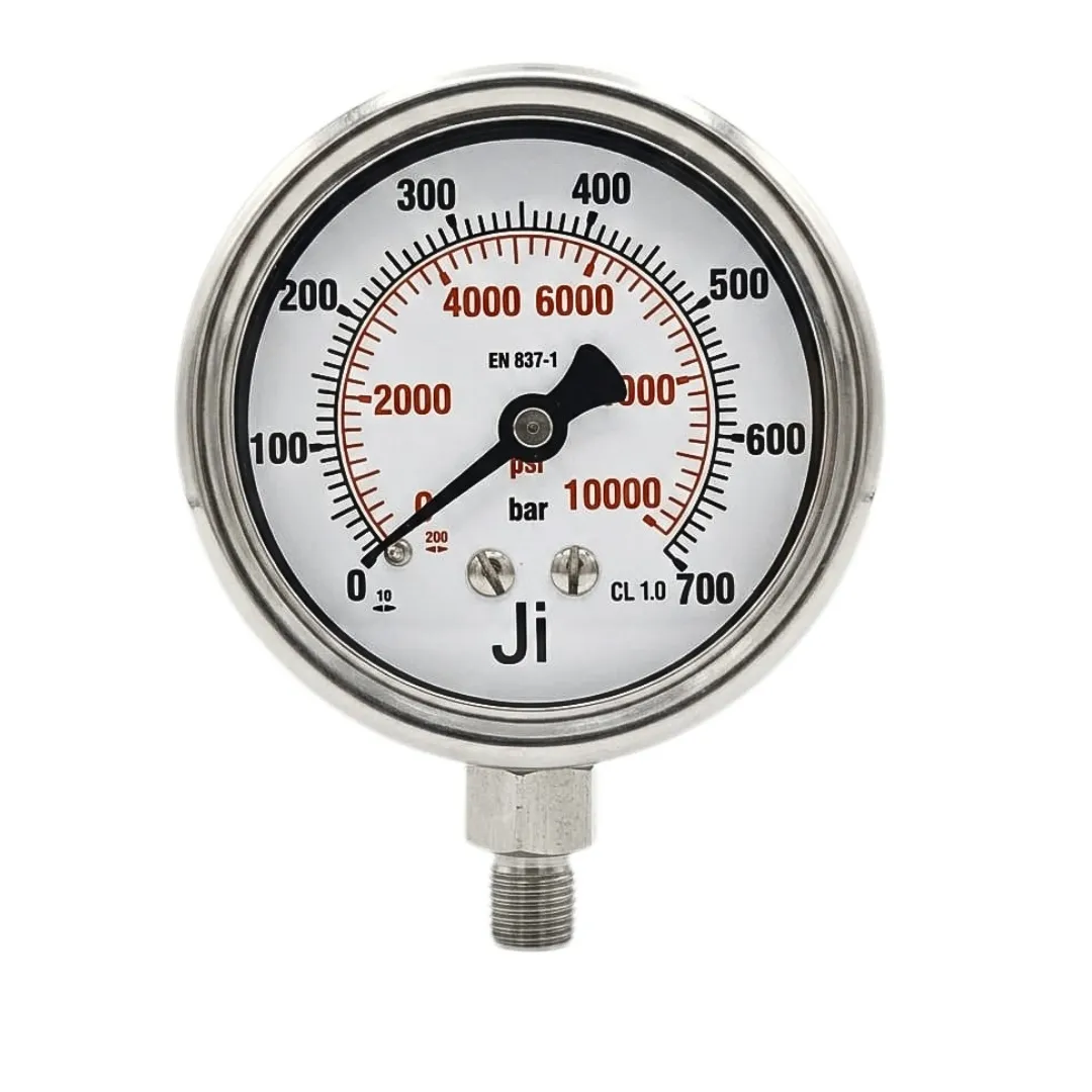Japsin Instrumentation industrial pressure gauge 0-700 bar 10000 PSI with 2.5 inch dial bottom entry and stainless steel case for high pressure measurement