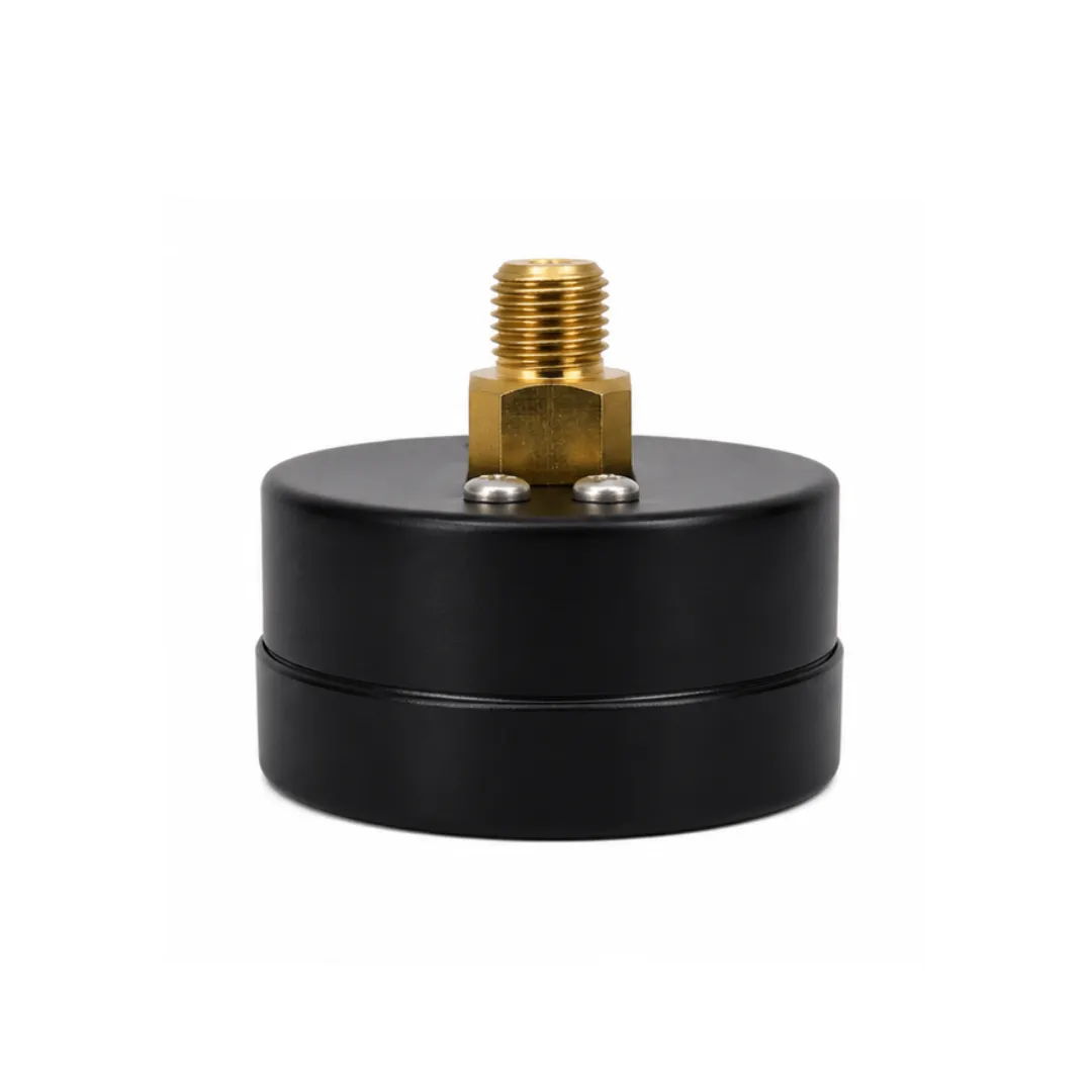 Industrial pressure gauge for compressors and pneumatic systems