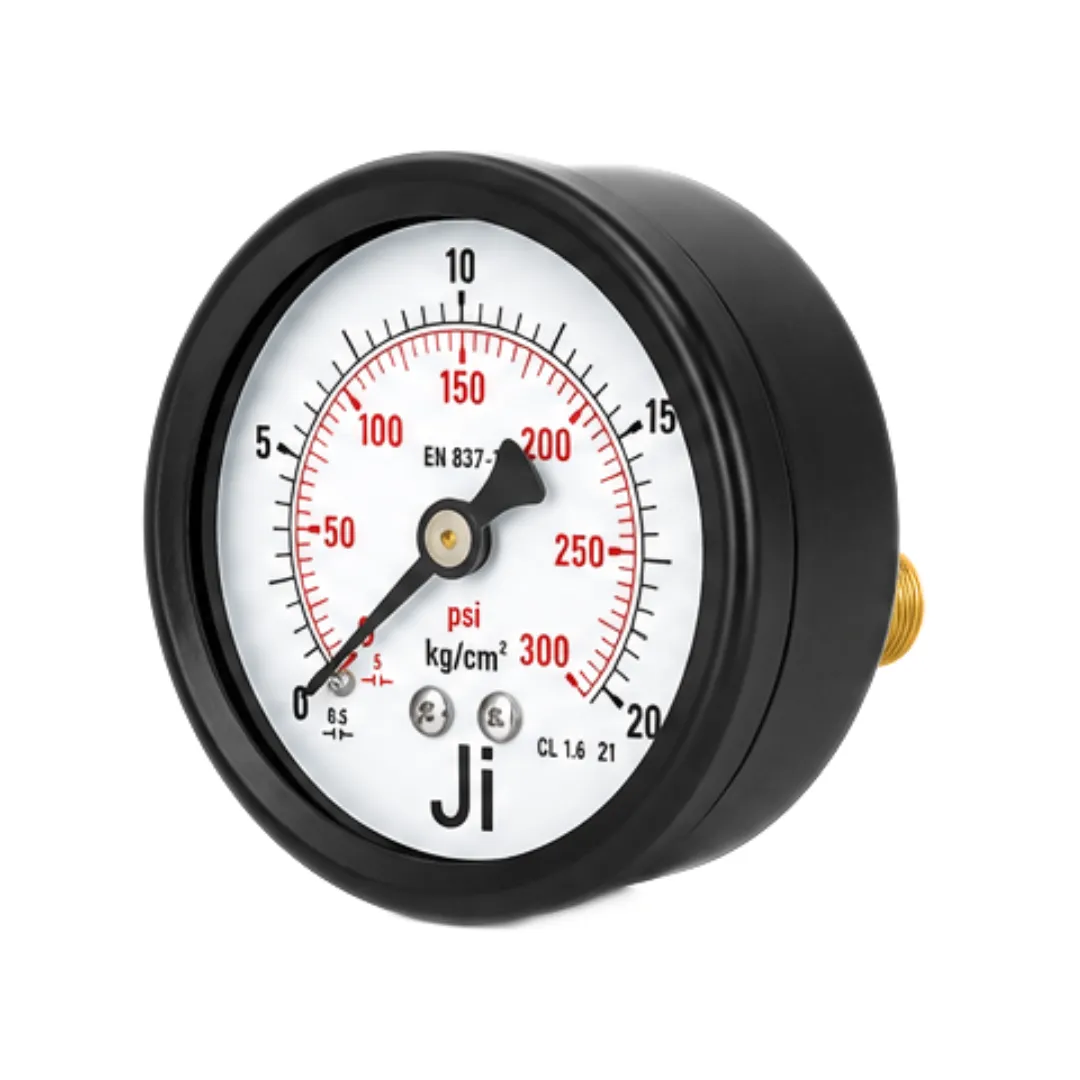 MS case pressure gauge with brass internals