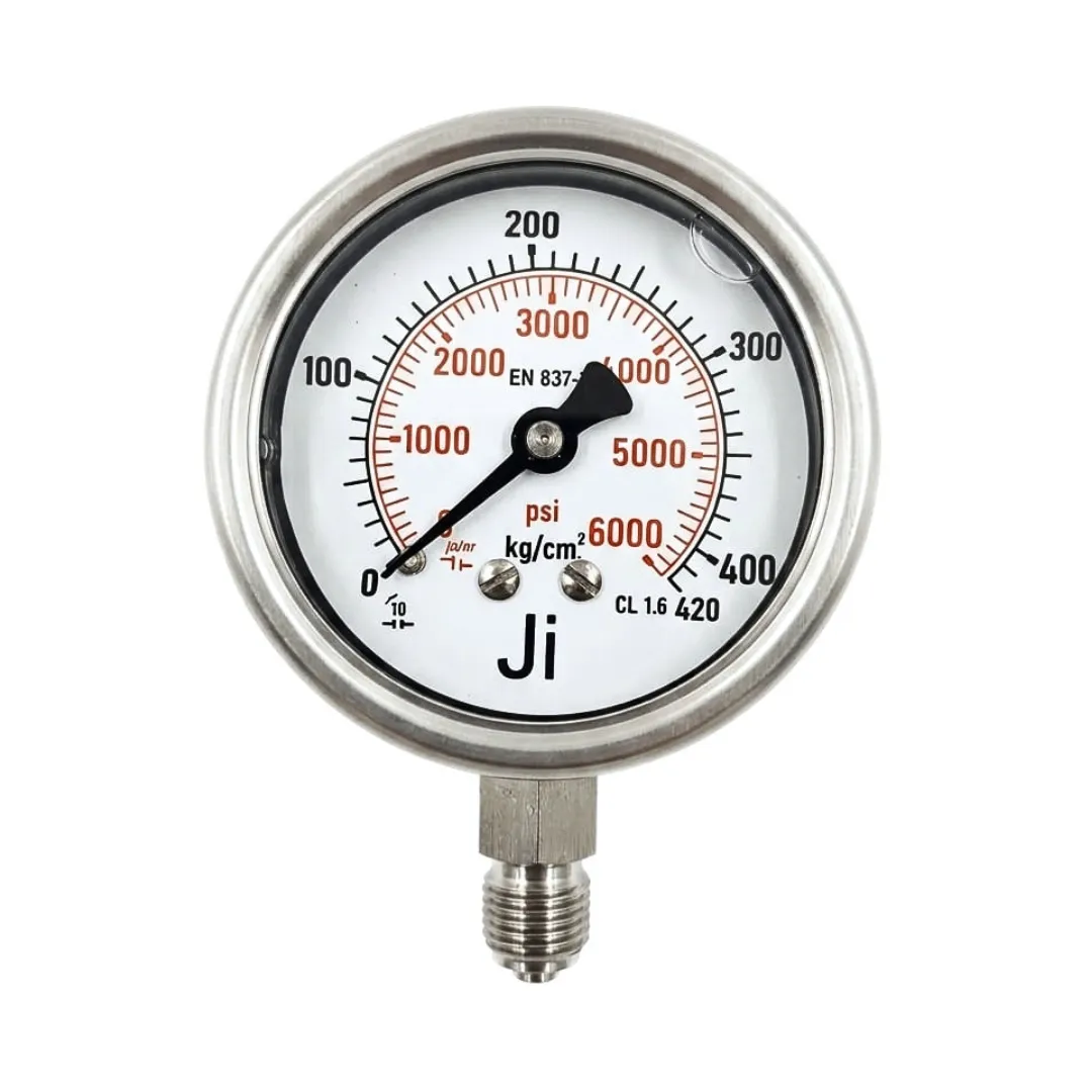Economical Pressure Gauge - 0 to 420 Kg/cm2 with Dual Scale of 6000 PSI - JI-EPG-1108